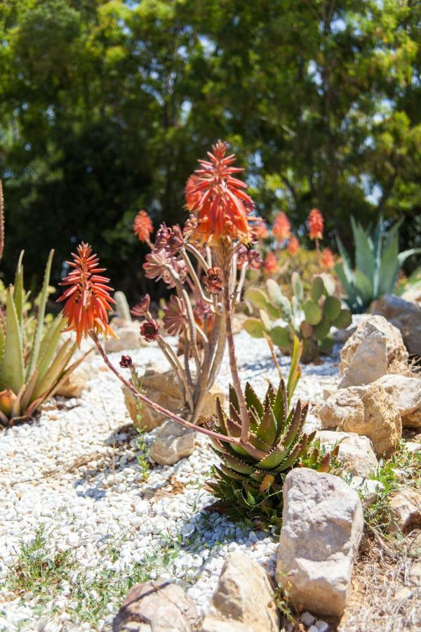 Villa Arzilla Sardegna Alghero Kültér fotó